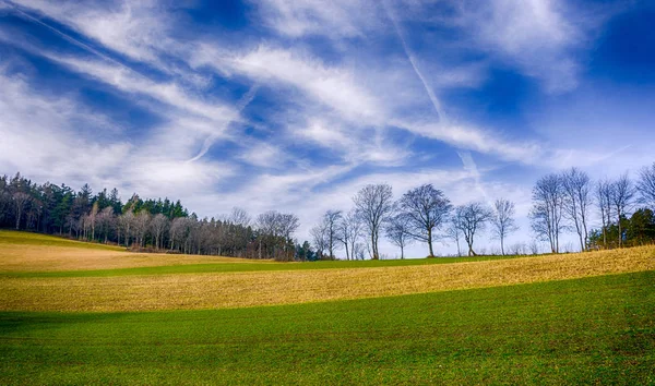 Fine art outdoor color sunny rural idyllic landscape winter scene  with hills,grass, trees, forest, blue sky, clouds, contrails,green and yellow fields in fantastic realism painting style