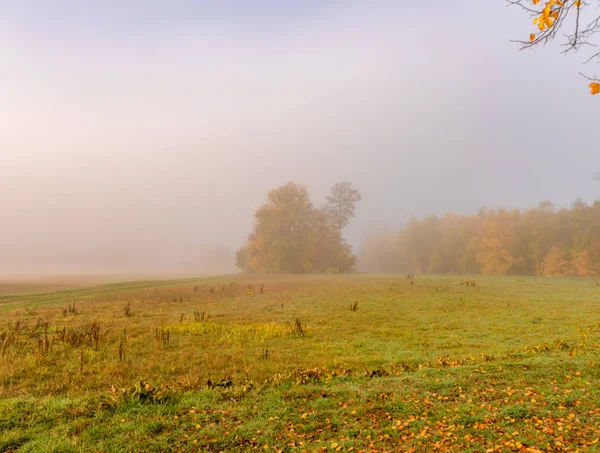 Farbe Freien Herbstlichen Natur Panoramabild Einer Ländlichen Landschaft Mit Herbst — Stockfoto
