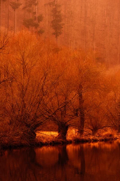 Fine Art Fluss Winterszene Alte Bäume Wasserspiegelungen Raureif Jahrgang Monochrom — Stockfoto