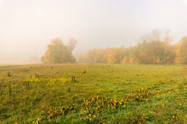 Pastellfarben Freien Herbstliche Natur Panoramabild Einer Nebligen Ländlichen Landschaft Mit — Stockfoto