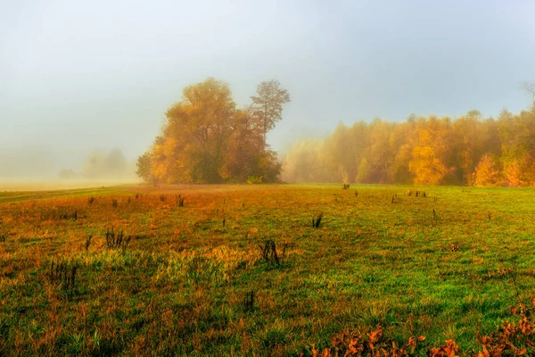 Bunte Outdoor Herbst Natur Panoramabild Einer Nebligen Ländlichen Landschaft Mit — Stockfoto