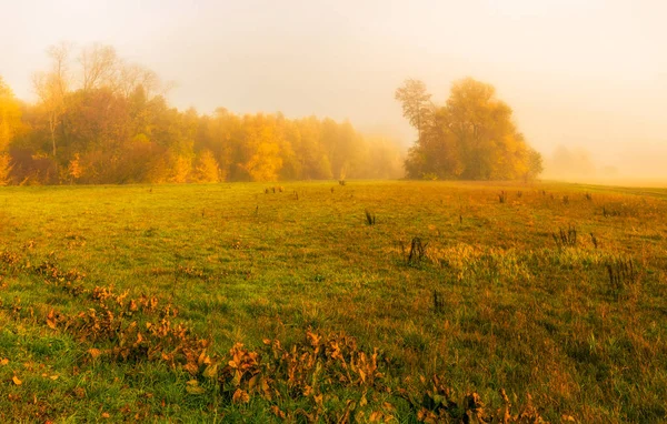 Pastellfarben Freien Herbstlichen Natur Panoramabild Einer Ländlichen Landschaft Mit Herbst — Stockfoto
