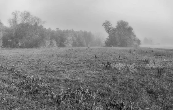 Natura Autunnale All Aperto Monocromatica Immagine Panoramica Una Campagna Rurale — Foto Stock