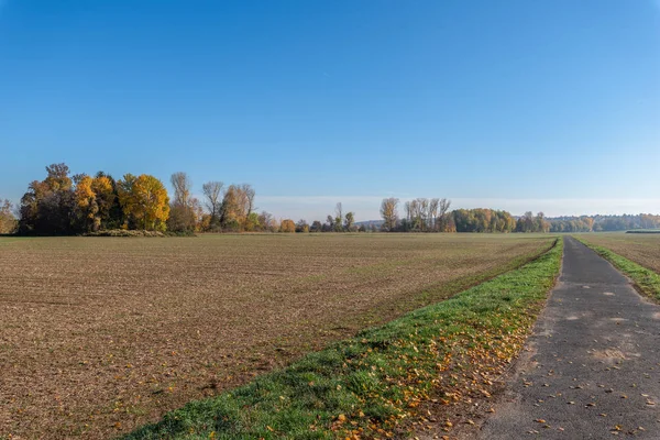 Farbe Freien Herbstlichen Naturbild Einer Ländlichen Landschaft Mit Herbst Laub — Stockfoto