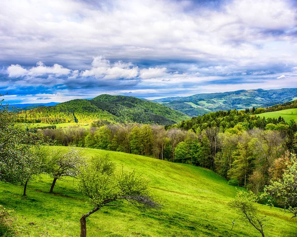 Schilderachtige Panorama Kleurenafbeelding Van Een Landelijke Heuvelachtige Voorjaar Platteland Landbouw — Stockfoto