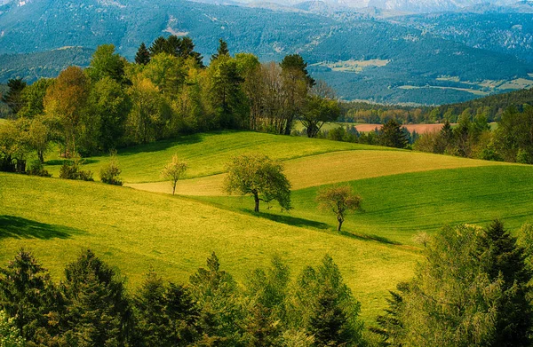 Fine Art Schilderachtige Kleurrijke Idyllische Lente Landschap Panorama Van Een — Stockfoto