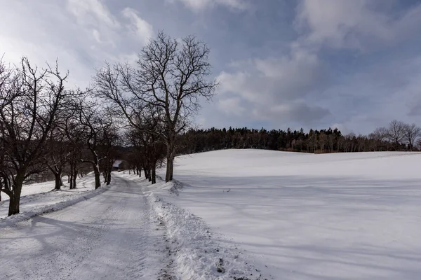 Rural idyllic bright color winter landscape countryside scene of a snowy field with hill, sky, clouds, trees, forest, road and tracks towards a farm