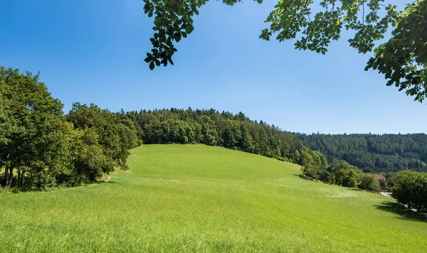 Színes Nyári Szabadtéri Idilli Táj Egy Farm Mező Rét Fákkal — Stock Fotó