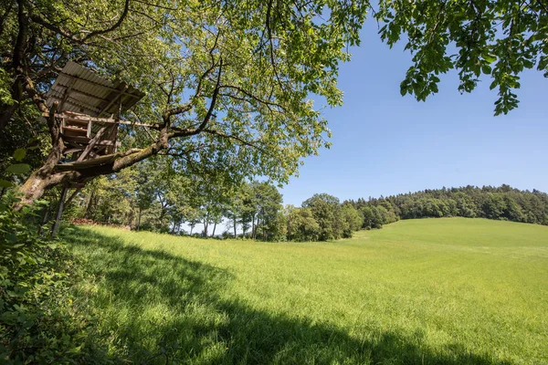 Kleur Buiten Idyllische Zomer Landschap Met Een Uitkijktoren Veld Weide — Stockfoto