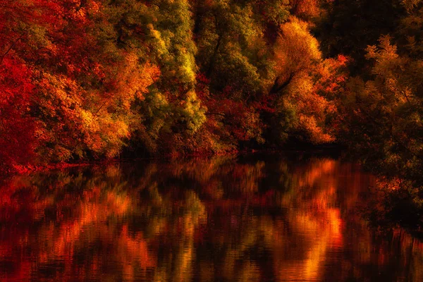 Cores Outono Cênicas Árvores Vermelhas Refletindo Sobre Água Rio Nidda — Fotografia de Stock