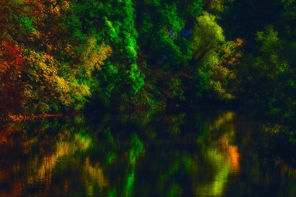 Malerische Herbstfarben Rotgrün Gelbe Bäume Mit Dichtem Laub Die Sich — Stockfoto