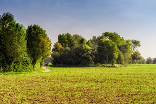 Felle Kleur Landschap Foto Van Een Daling Van Het Idyllische — Stockfoto