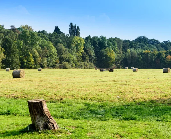 Bright Color Image Idyllic Fall Countryside Autumn Tress Fields Hay — Stock Photo, Image