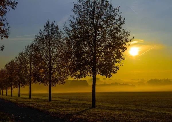 Fine Art Epic Golden Scenic Glorious Autumn Sunrise Rural Countryside — Stock Photo, Image