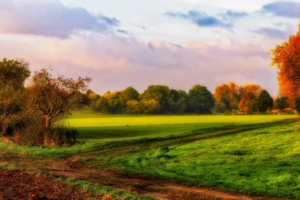 Stile Vintage Toni Caldi Acquerello Idilliaca Alba Autunnale Campo Paesaggio — Foto Stock