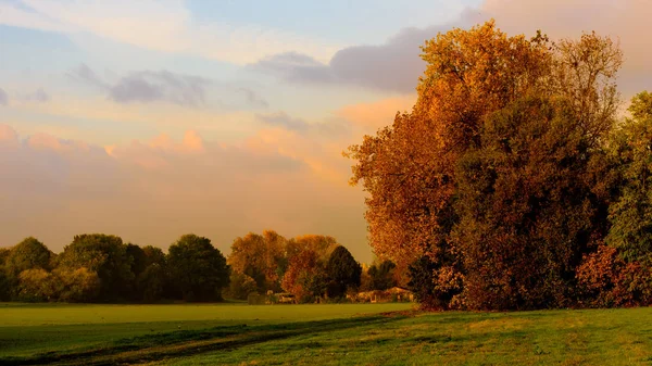 Stile Vintage Toni Caldi Acquerello Idilliaca Alba Autunnale Campo Paesaggio — Foto Stock