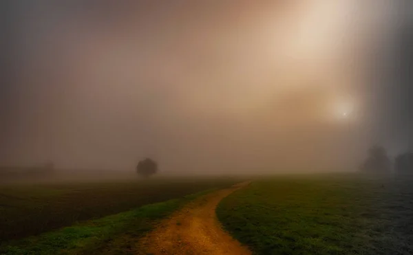 太陽に向かって霧を通して農村パスの美術秋の色の印象温かみのある色調で捕獲し フィールドは ツリーの光を拡散 — ストック写真
