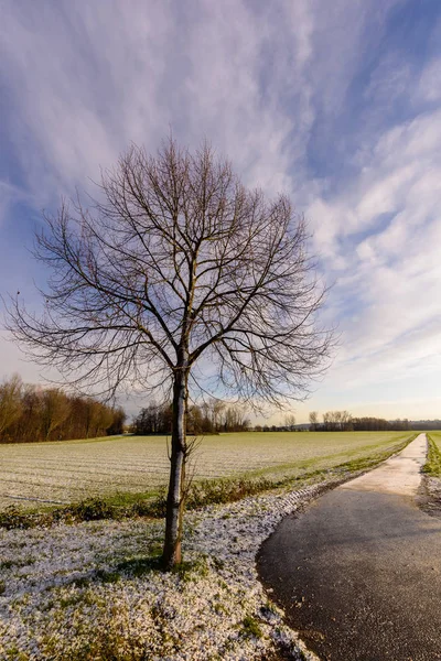 Farbe Freien Schneebedecktes Landschaftspanorama Einer Morgendlichen Winterlandschaft Mit Blauem Himmel — Stockfoto