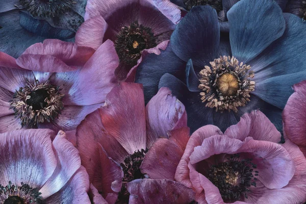 Güzel Sanatlar Hala Hayat Çiçekli Bir Buketin Makrosu Demeti Pembe — Stok fotoğraf