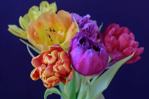 Kunstblumen Stillleben Blume Makro Einer Blühenden Tulpe Blütenstrauß Strauß Auf — Stockfoto