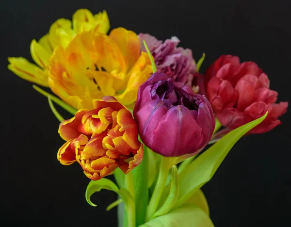 Kunstblumen Stillleben Blume Makro Einer Blühenden Tulpe Blütenstrauß Strauß Auf — Stockfoto