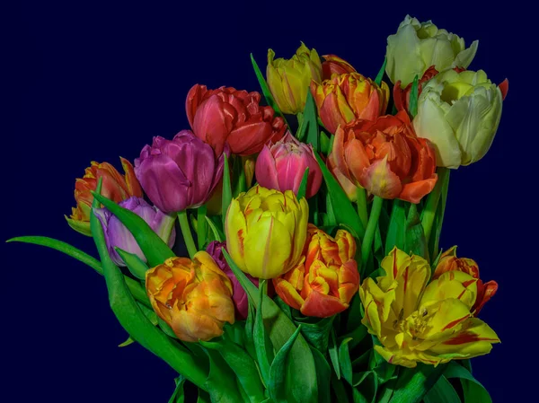 Kunstblumen Stillleben Blume Makro Einer Blühenden Tulpe Blühen Strauß Bund — Stockfoto