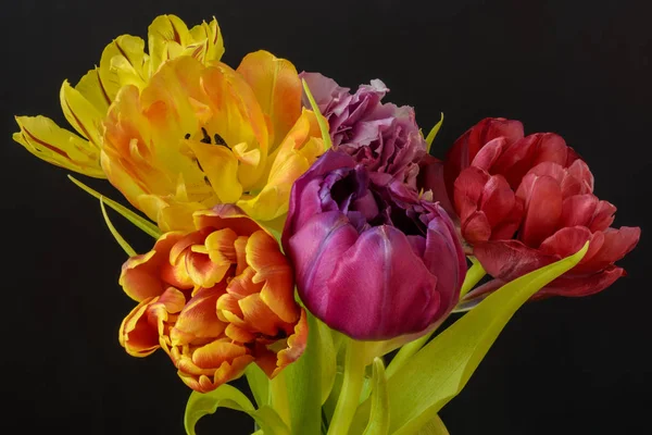 Kunstblumen Stillleben Blume Makro Einer Blühenden Tulpe Blütenstrauß Bund Auf — Stockfoto