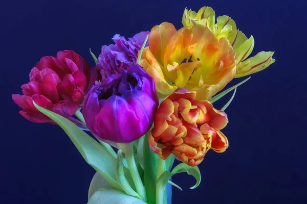 Kunstblumen Stillleben Blume Makro Einer Blühenden Tulpe Blühen Strauß Bund — Stockfoto