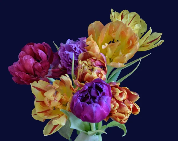 Kunstblumen Stillleben Blume Makro Einer Blühenden Tulpe Blühen Strauß Bund — Stockfoto