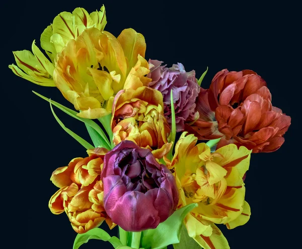 Kunstblumen Stillleben Blume Makro Einer Blühenden Tulpe Blütenstrauß Bund Auf — Stockfoto