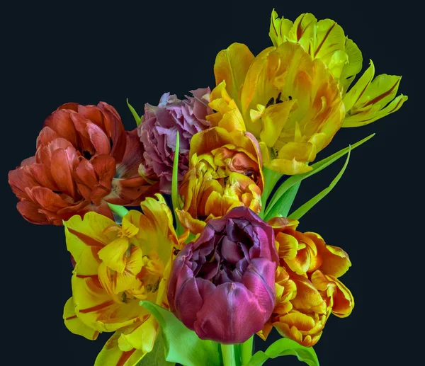Kunstblumen Stillleben Blume Makro Einer Blühenden Tulpe Blütenstrauß Bund Auf — Stockfoto