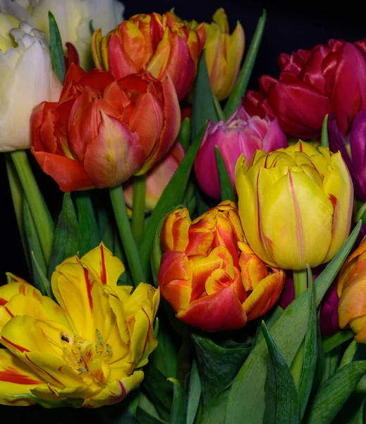 Kunstblumen Stillleben Blume Makro Einer Blühenden Tulpe Blütenstrauß Bund Auf — Stockfoto