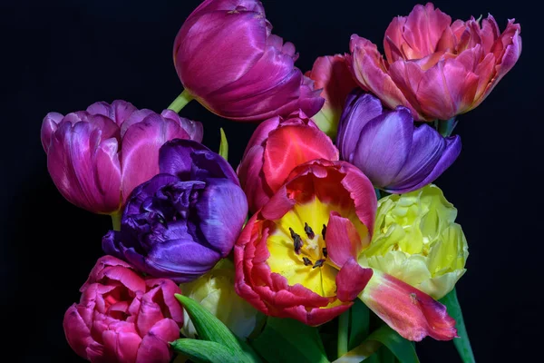 Kunstblumen Stillleben Bunte Blume Makro Einer Blühenden Tulpe Blühen Strauß — Stockfoto