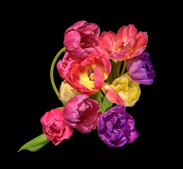 Kunstblumen Stillleben Bunte Blume Makro Einer Blühenden Tulpe Blühen Strauß — Stockfoto