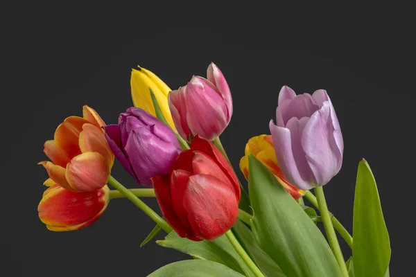 Blühendes Tulpenblütenstrauß Strauß Auf Schwarzem Hintergrund Kunstblumen Stillleben Blume Makro — Stockfoto
