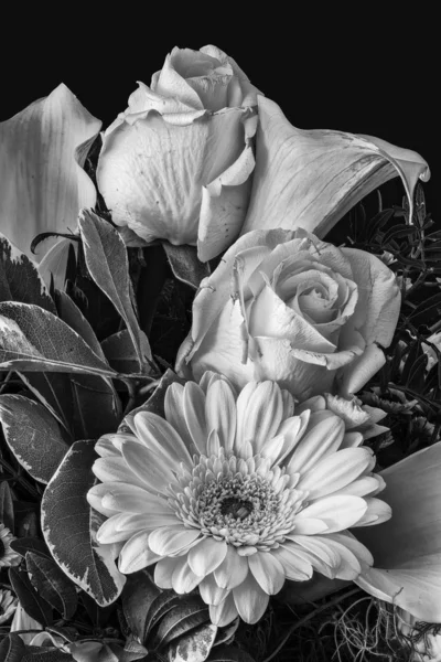 Vintage monochrome macro of a flower bouquet with roses, gerbera and calla, fine art still life black and white floral image with detailed texture  on black background in painting style