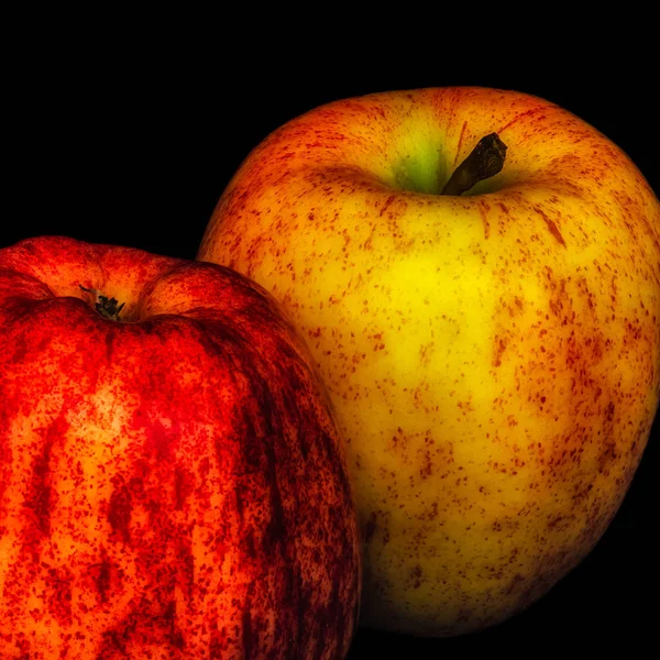 Fine art still life color macro portrait of two apples in red and yellow on black background,fantastic realism surrealistic vintage painting style, symbolic pair couple together joint touching close