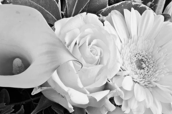 Monokrom Calla Gül Gerbera Çiçeği Buketi Ayrıntılı Güzel Sanatlar Natürmort — Stok fotoğraf