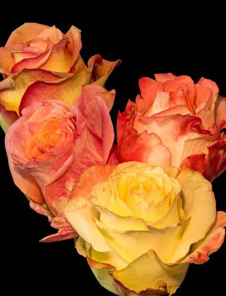 Bouquet Macro Rose Florale Nature Morte Vibrante Fleurs Rouges Jaunes — Photo