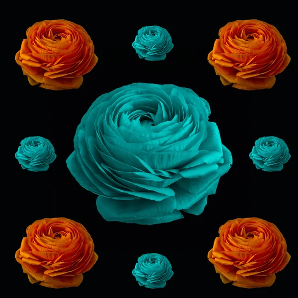 Pop art colored collage of orange and turquoise blue buttercup blossoms oj different sizes