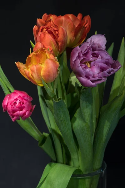 Вишукане Мистецтво Квіткове Натюрморт Барвистий Квітковий Макрос Квітучого Букета Тюльпанів — стокове фото