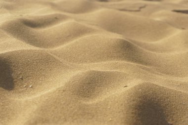 Arkaplan olarak kum tepeleri