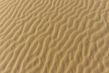 Arkaplan olarak kum tepeleri