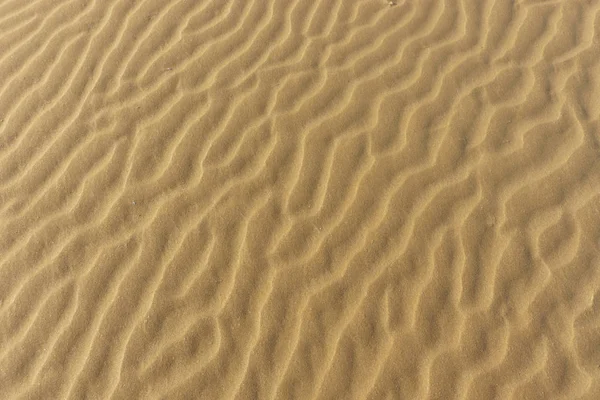 Arkaplan olarak kum tepeleri