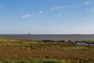 Delta de l'Ebre rezervasyon park Katalonya gelen. Nehir bitkiler manzaralı