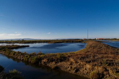 uçan deltasında flamingolar