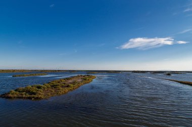 uçan deltasında flamingolar