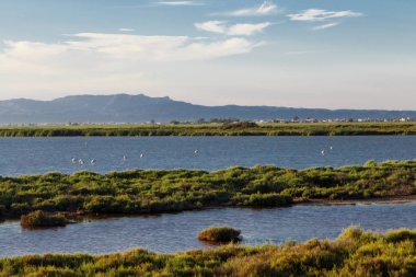 uçan deltasında flamingolar