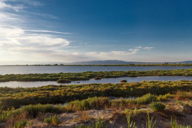 sunrise plajda kıyısında görünümünü