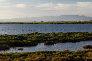 sunrise plajda kıyısında görünümünü